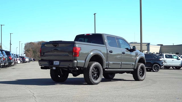 Ford F-150 Black Ops rear